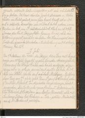 Seite 19, Tagebuch "Palästina (Tagebuch)" (NHMW-PRAE-BBB-80)